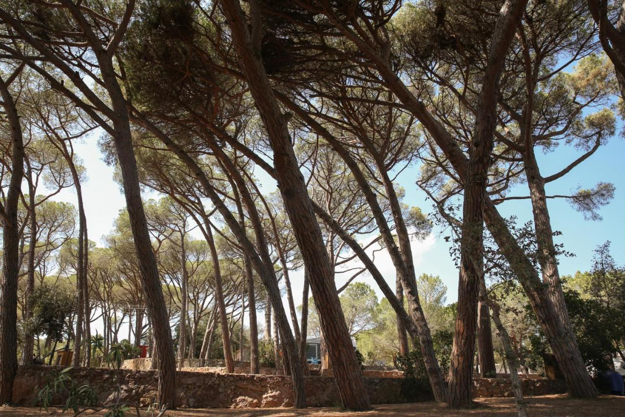 Camping 3 Estrellas Costa Brava Vall Llobrega Bagian luar foto